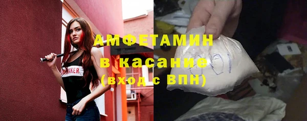 стафф Алексин