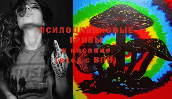 стафф Алексин