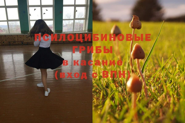 Альфа ПВП Алексеевка