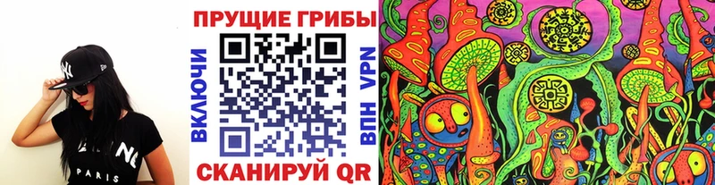 где купить   ОМГ ОМГ зеркало  Псилоцибиновые грибы мицелий  Татарск 